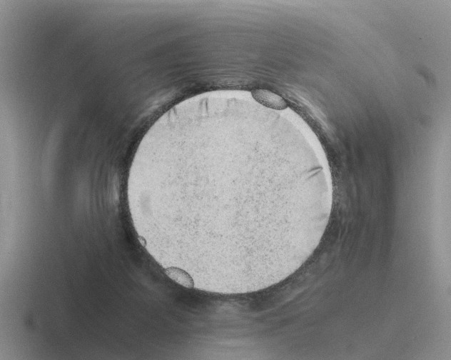 X0000116100115201001040959