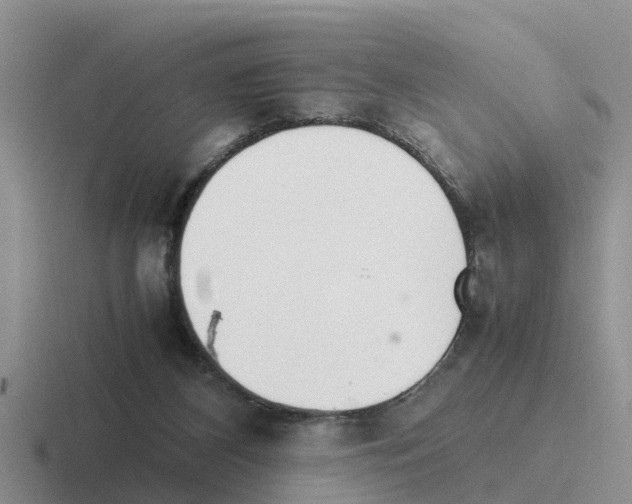 X0000116100116201001040959