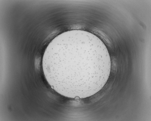 X0000116100118201001040959