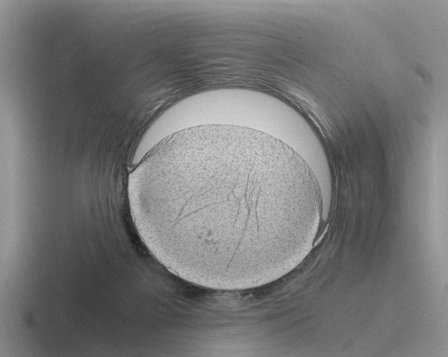 X0000116100121201001040959