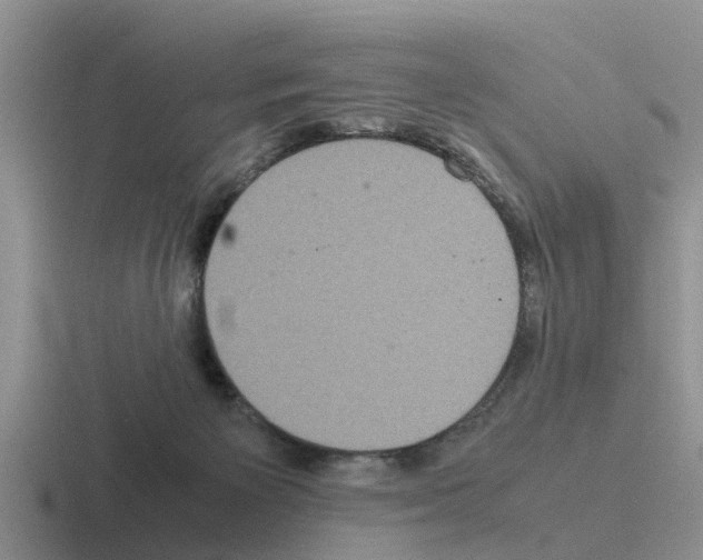 X0000116100125201001040959