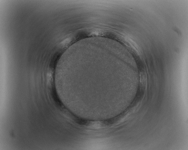 X0000116100127201001040959