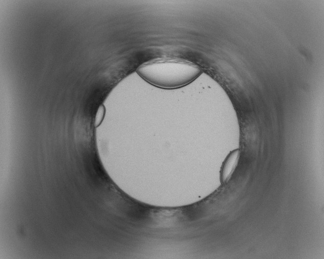 X0000116100129201001040959