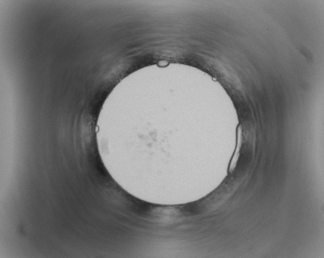 X0000116100133201001040959