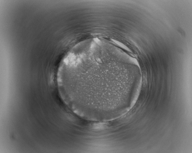 X0000116100134201001040959