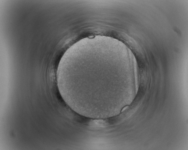 X0000116100137201001040959