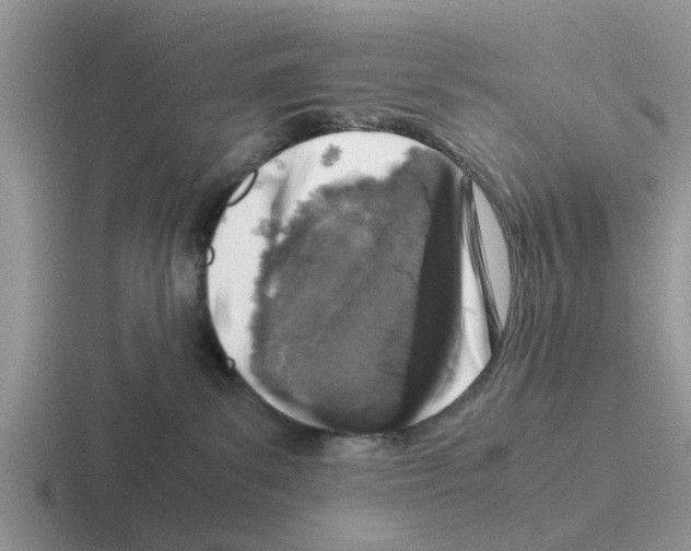 X0000116100139201001040959