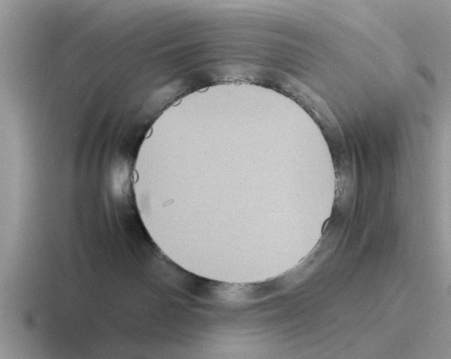 X0000116100142201001040959