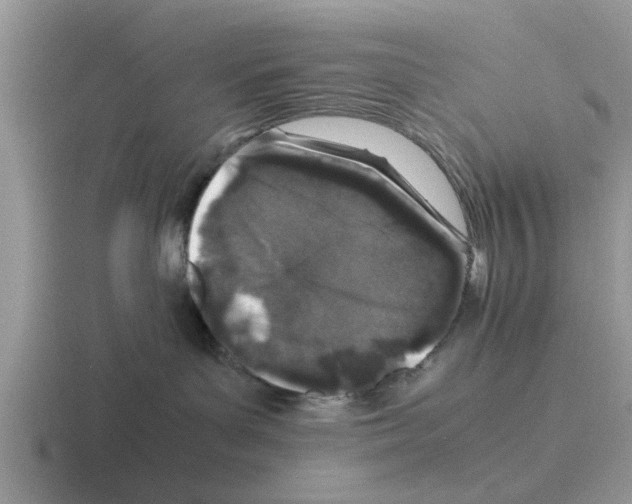 X0000116100143201001040959