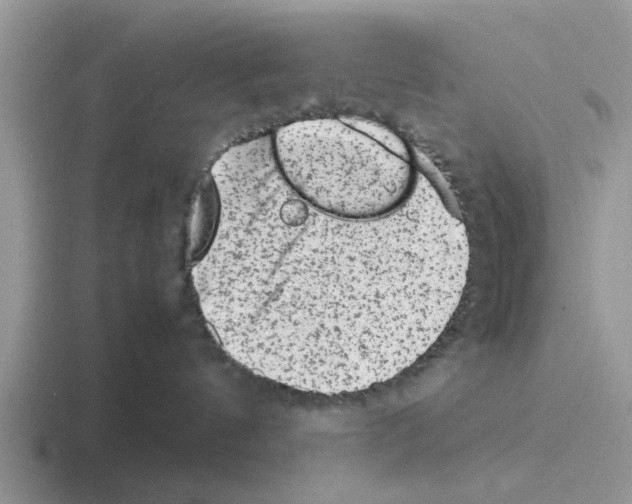 X0000116100144201001040959