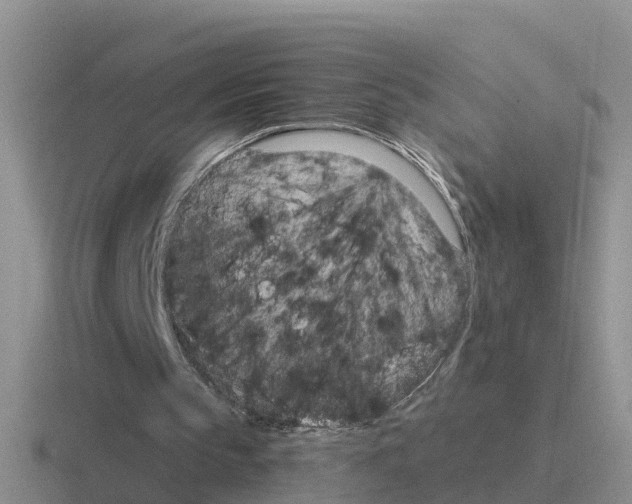 X0000116100145201001040958