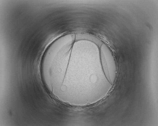 X0000116100146201001040958