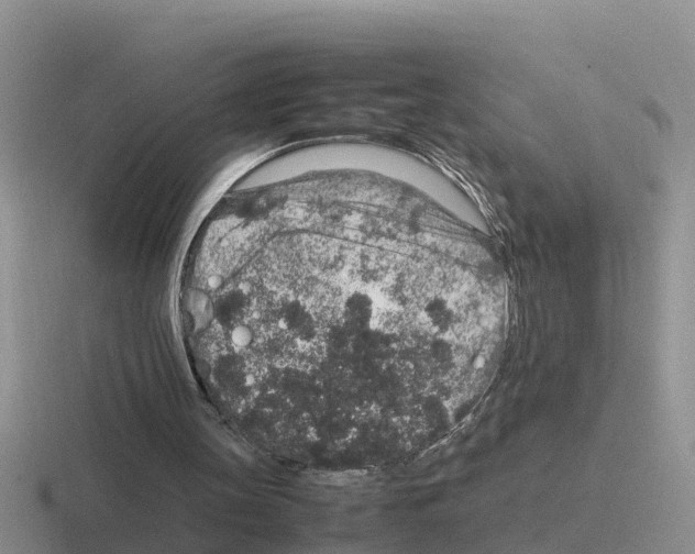 X0000116100147201001040958