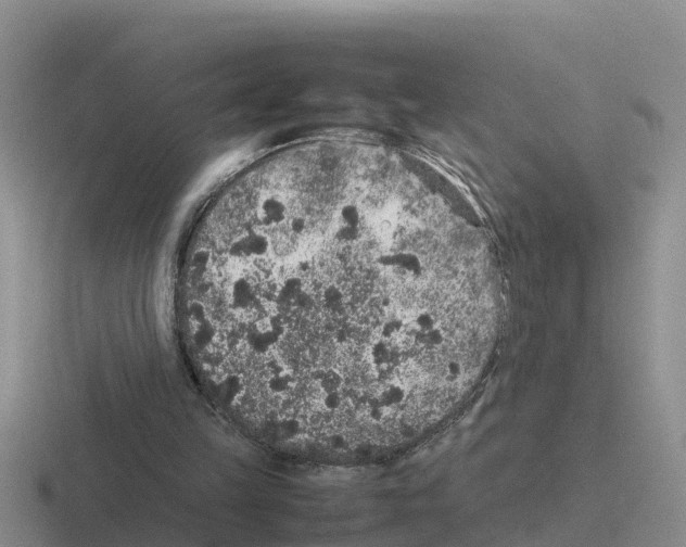 X0000116100149201001040958