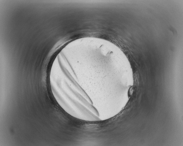 X0000116100150201001040958