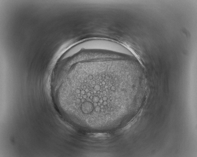 X0000116100151201001040958