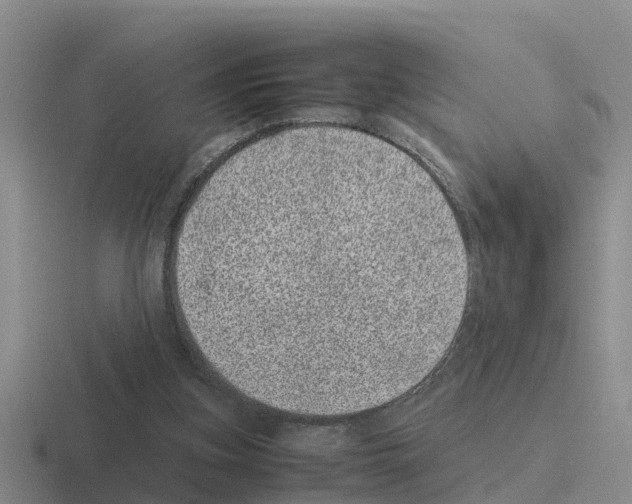 X0000116100155201001040958