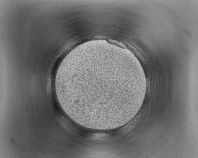 X0000116100158201001040958