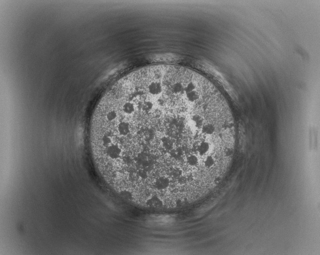 X0000116100161201001040958