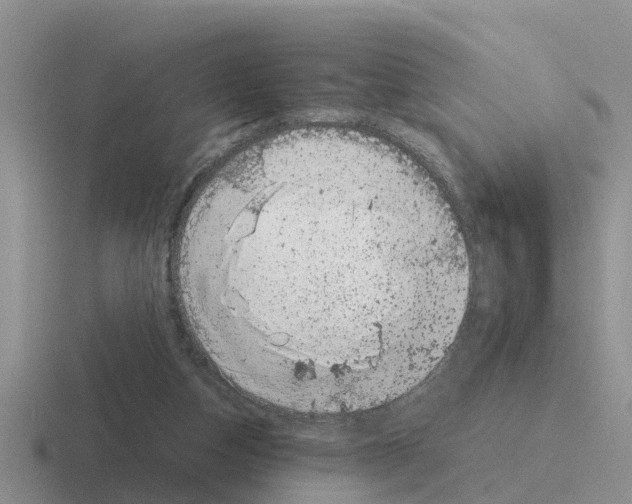 X0000116100162201001040958