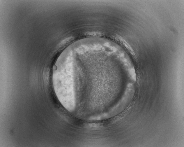 X0000116100163201001040958