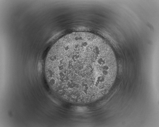 X0000116100165201001040958