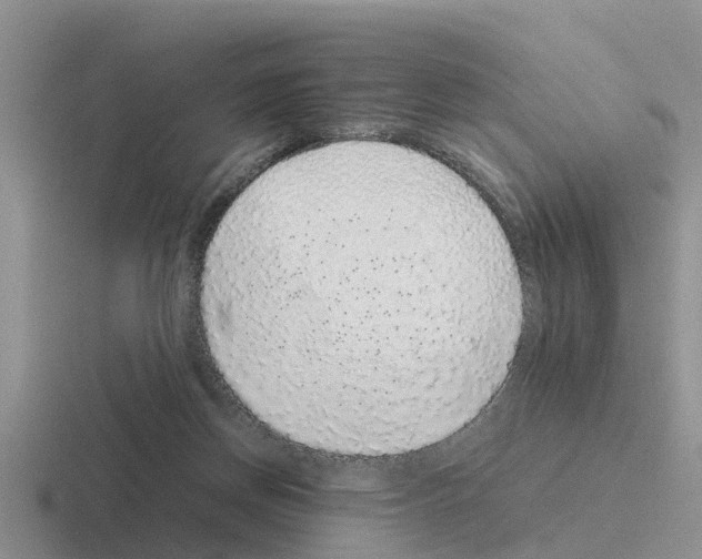 X0000116100166201001040959