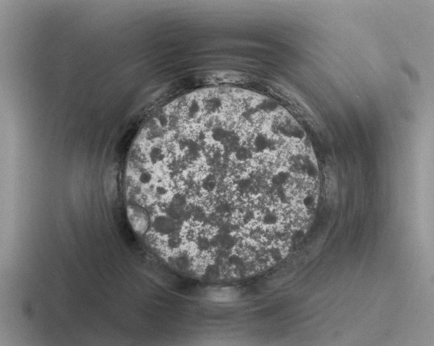 X0000116100169201001040959