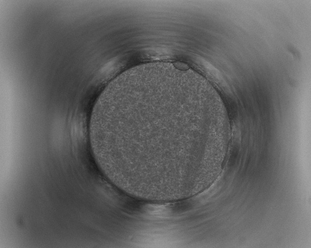 X0000116100170201001040959