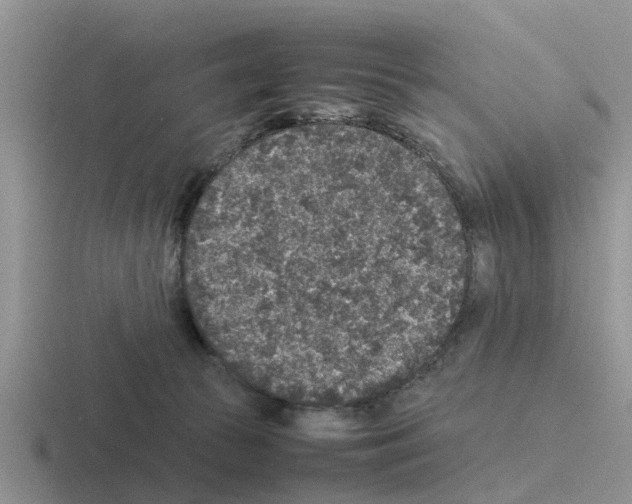 X0000116100177201001040959