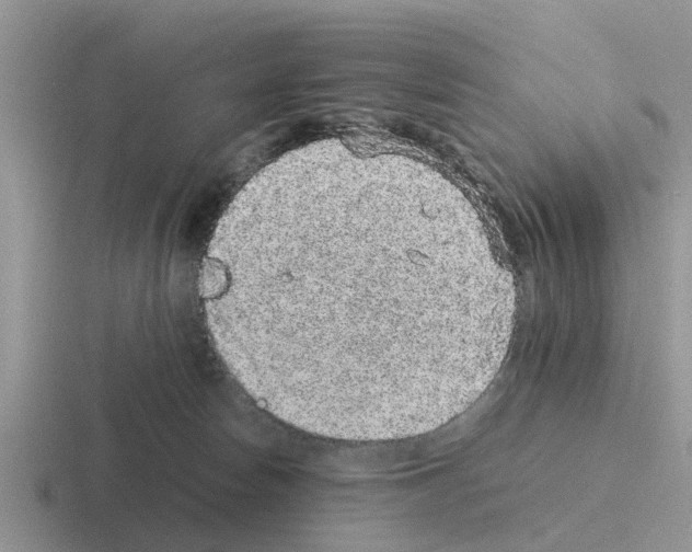 X0000116100178201001040959