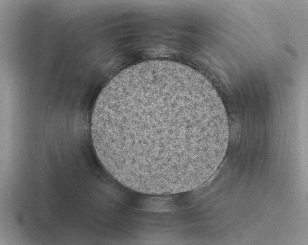 X0000116100179201001040959