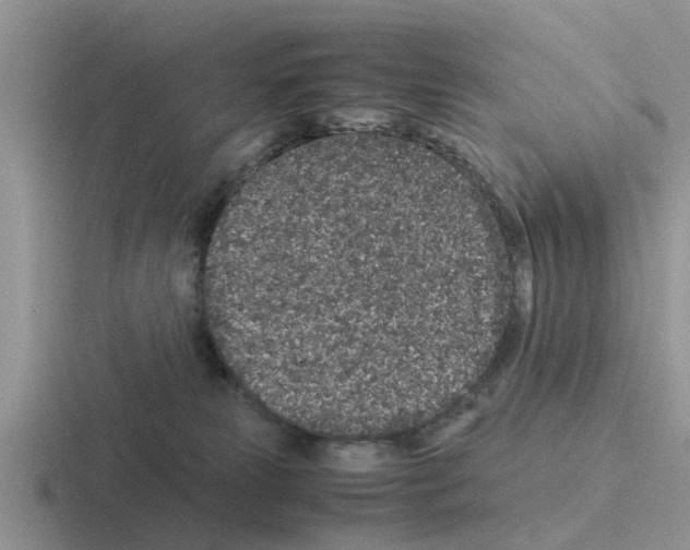 X0000116100181201001040959