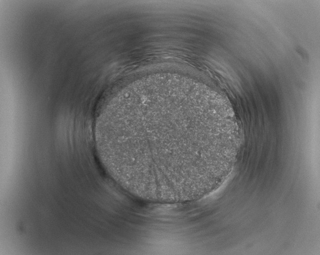 X0000116100182201001040959