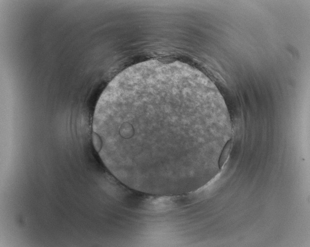 X0000116100186201001040959