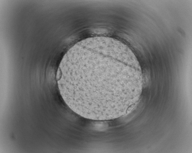 X0000116100187201001040959