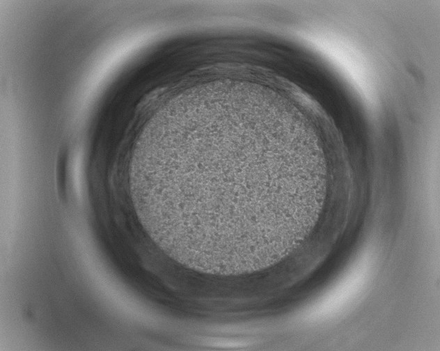 X0000116100189201001040959