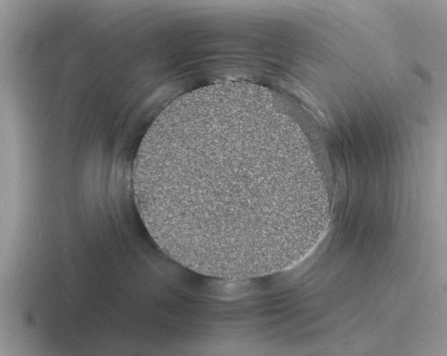 X0000116100191201001040959