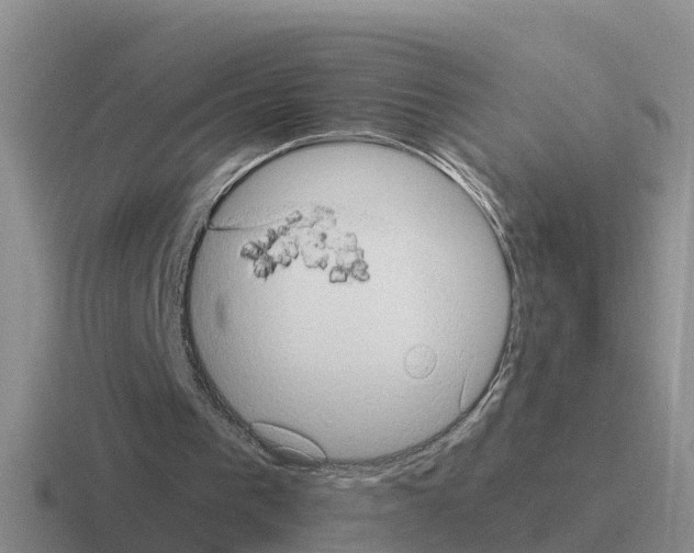 X0000116100193201001040958