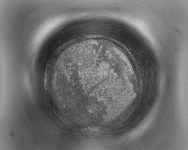 X0000116100194201001040958