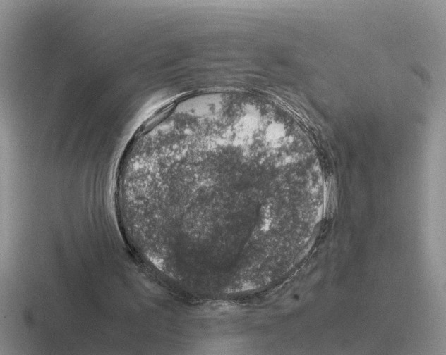 X0000116100195201001040958