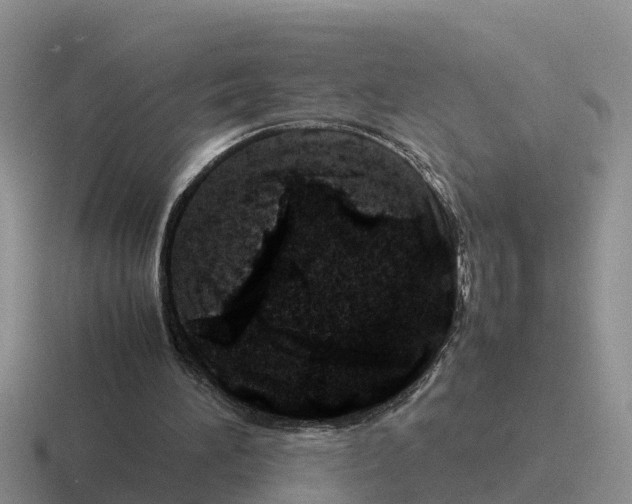 X0000116100196201001040958