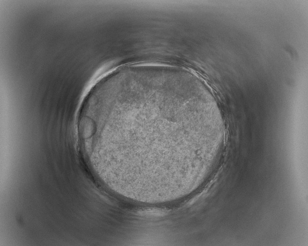 X0000116100198201001040958