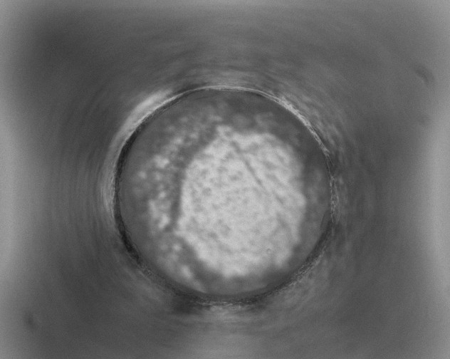 X0000116100199201001040958