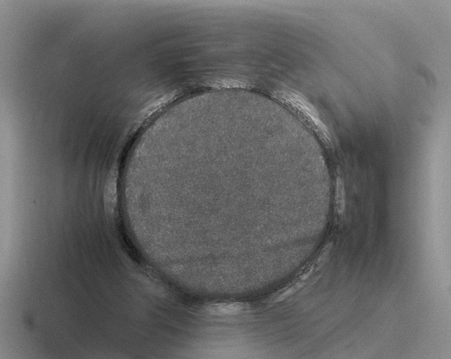 X0000116100202201001040958