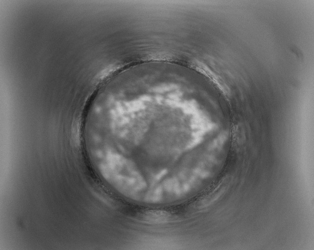 X0000116100203201001040958