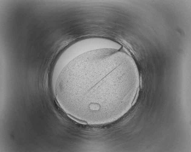 X0000116100205201001040958