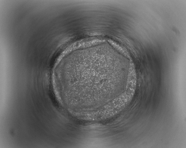 X0000116100210201001040958