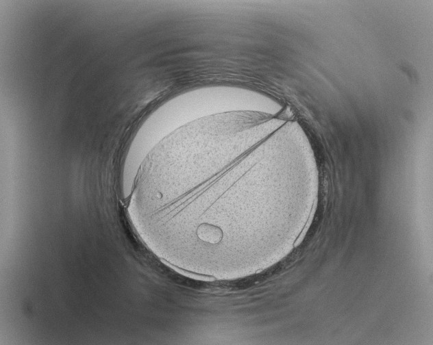 X0000116100211201001040958