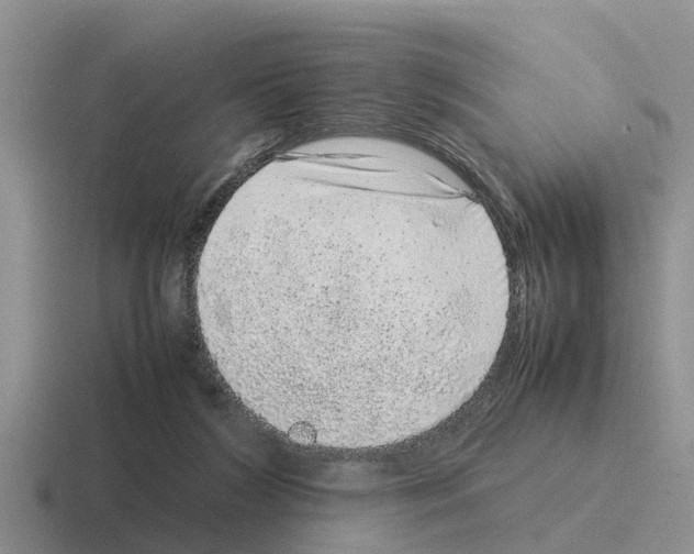 X0000116100212201001040958